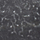 Microestructuras en forma de tubo que sugieren la presencia de esponjas antiguas
